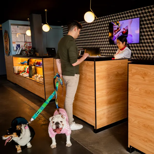 Dog Friendly Hotel Fontán Reforma Ciudad de México Dog Friendly Hotel Fontán Reforma Ciudad de México