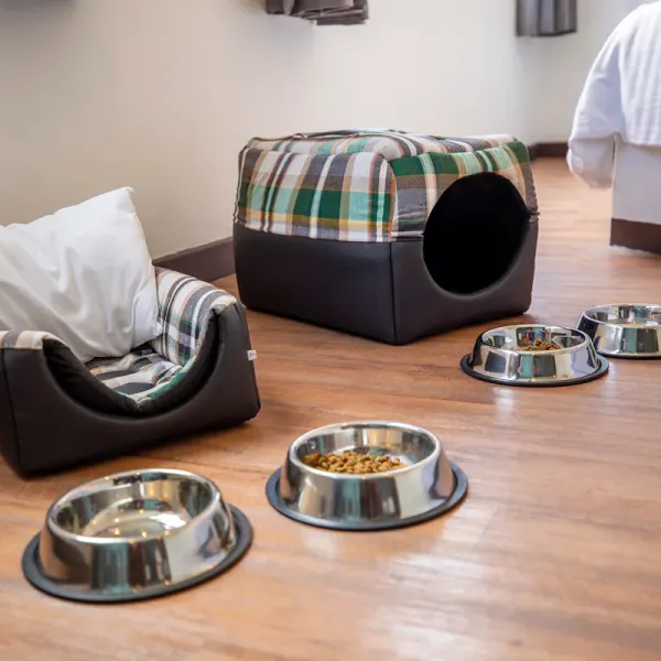Dog Friendly Hotel Fontán Reforma Ciudad de México Dog Friendly Hotel Fontán Reforma Ciudad de México