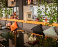 Hotel Fontán Reforma Ciudad de México Hotel Fontán Reforma Ciudad de México
