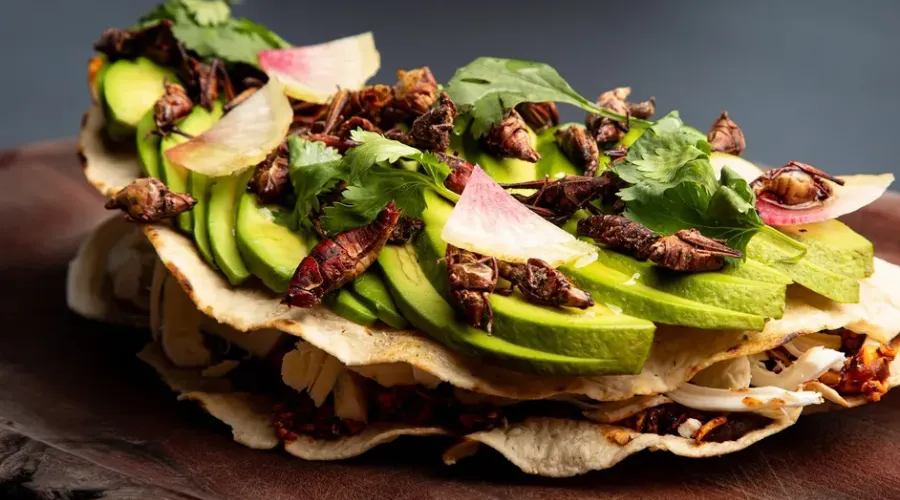 Experiencia gastronómica en Xkina con antojitos mexicanos y comida saludable Hotel Fontán Reforma Ciudad de México Experiencia gastronómica en Xkina con antojitos mexicanos y comida saludable Hotel Fontán Reforma Ciudad de México