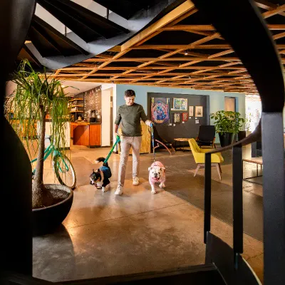 Dog friendly Hotel Fontán Reforma Ciudad de México Dog friendly Hotel Fontán Reforma Ciudad de México