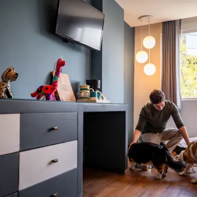 Dog friendly Hotel Fontán Reforma Ciudad de México Dog friendly Hotel Fontán Reforma Ciudad de México