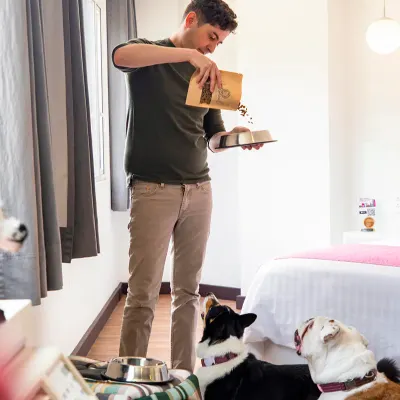 Dog friendly Hotel Fontán Reforma Ciudad de México Dog friendly Hotel Fontán Reforma Ciudad de México