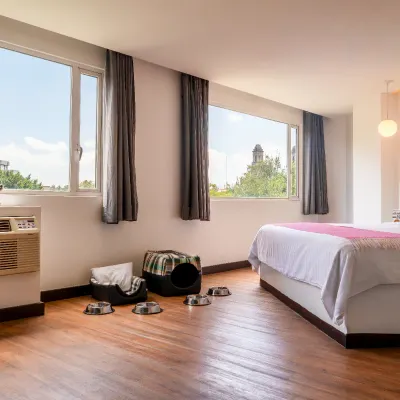 Dog friendly Hotel Fontán Reforma Ciudad de México Dog friendly Hotel Fontán Reforma Ciudad de México